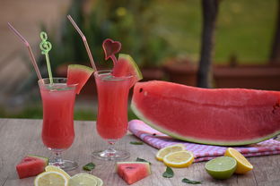 清涼一夏 自制水果冰沙與玻璃飲品，盡享健康美味